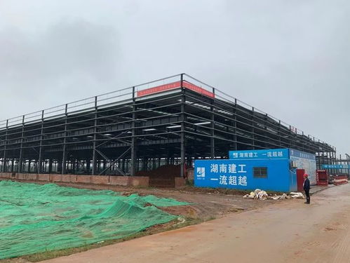 益陽(yáng)總投資8.229億元大項(xiàng)目預(yù)計(jì)12月建成投產(chǎn)，房屋建筑工程施工穩(wěn)步推進(jìn)